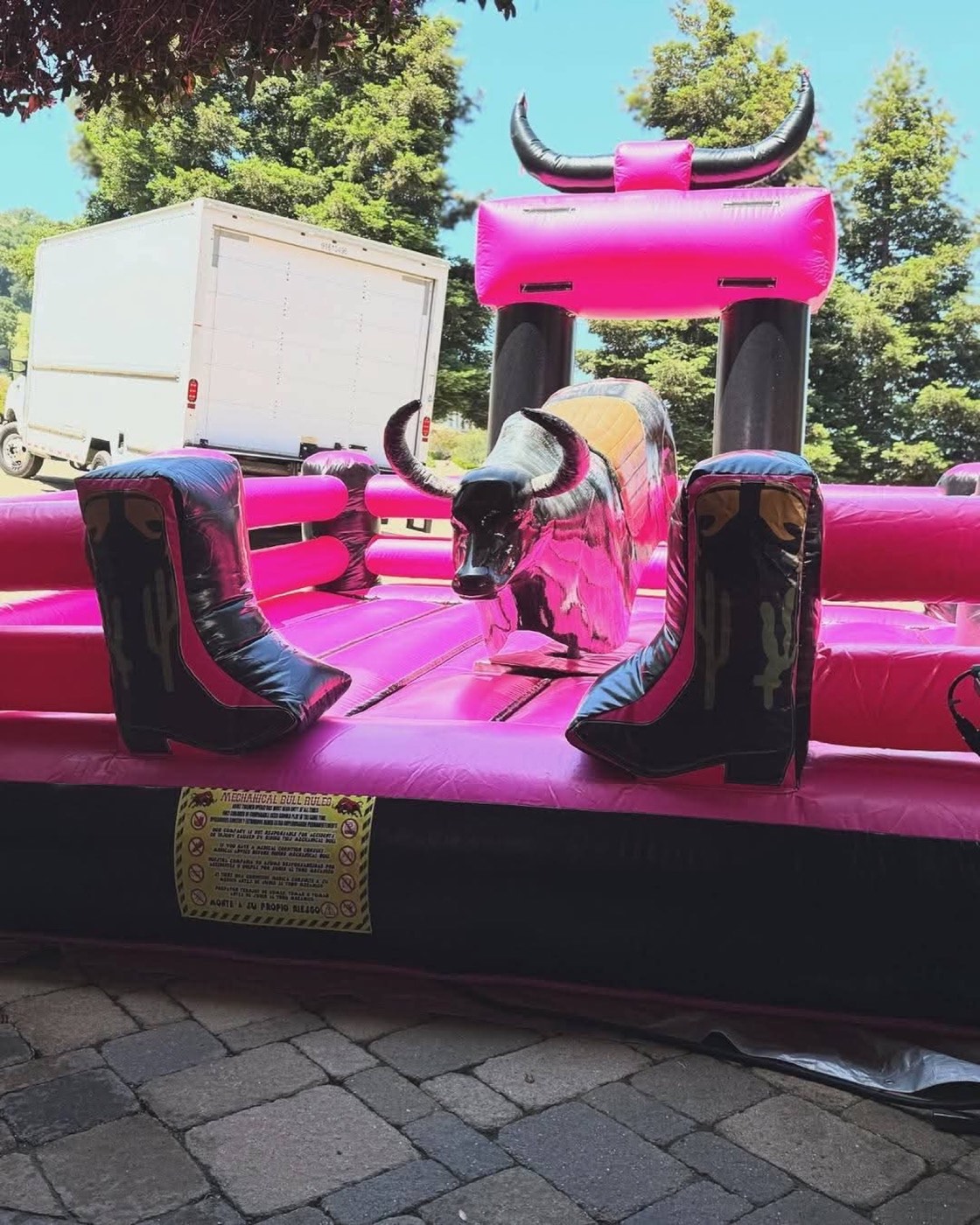 Pink cactus and boots mechanical bull rental